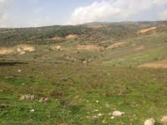 Mahmoudieh, Jezzin, Land 30k sq meters $600,000