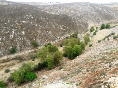 Super Deluxe Apartments and Stores in Kfarrouman, Nabatieh, Arabsalim, Habbouch, Deir Al Zahrani, Installments